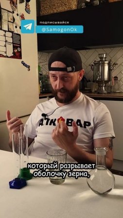 Дрожжи Кодзи #алковар