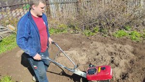 Краковяк прёт после медного купороса. Riga-robi 55.