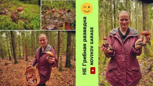 Грибная разведка 28 сентября2024. Всеволожский район.