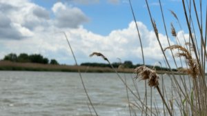 домик в деревне