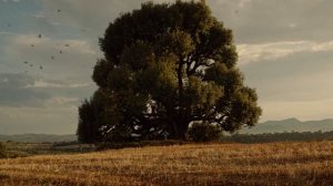 HUAWEI WATCH GT 5 Series - New Level of Performance and Aesthetics