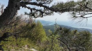 прогулка Крым пробник 60