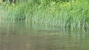 Прогулки по течению на надувной лодке отца