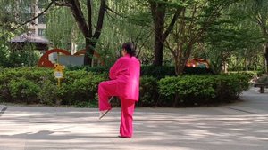 Тайцзицюань с Мечом 24 формы _太极剑24式 ( Tai Chi Sword 24 form)