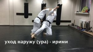 Входы и броски на удары ногами