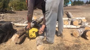 Бензопила Чемпион 256 по сухой берёзе на дрова.