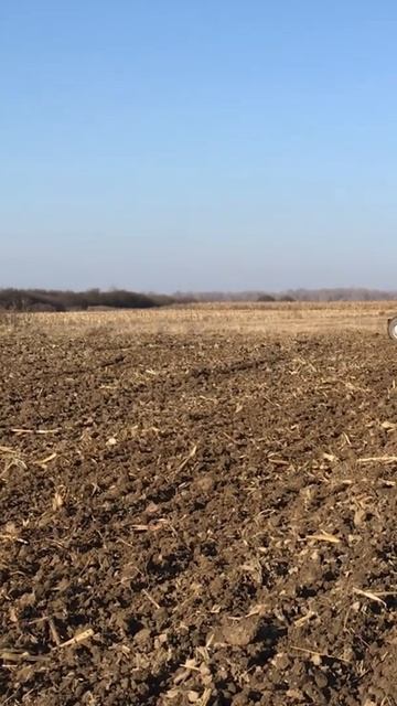 Прицепная дисковка трактором ДТЗ 5504К (50л.с) 🚜👇 смотреть онлайн