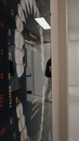 С чего начинается день стоматолога?