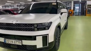 Обзор Hyundai Santa Fe 2.5 бензин MX5 calligraphy полный обзор в нашем