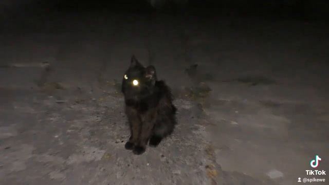 Снежок под музыку группы Steel Soul смотреть онлайн