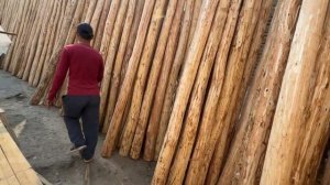 ТАХТА БОЗОР НАРХЛАРИ 2025 ЙИЛ ФАРГОНА