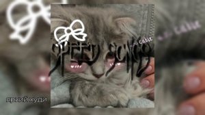 яркий худи дабл бабл (speed song)