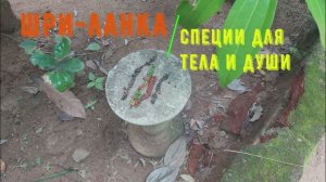 Шри-Ланка. Сцена 12: Специи для тела и души.