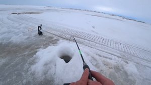 ВЕСНА В РАЗГАРЕ! ОЗЕРО ГДЕ РЫБА В МЕСТО ДНА!!!! ЗАГОТОВКА РЫБЫ НА СЕВЕРЕ !!