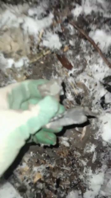 Зимний коп с МЕТАЛЛОИСКАТЕЛЕМ 😎 Красивая древняя мон смотреть онлайн