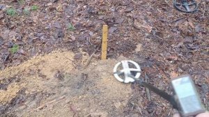 Тест Деус 2 и орх на клад серебро 1 кг. Знайшов в болоте ?