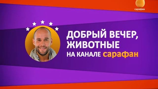 Конец эфира (Сарафан, 14.04.2021) смотреть онлайн
