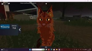 Ура! Буду снимать с ноута