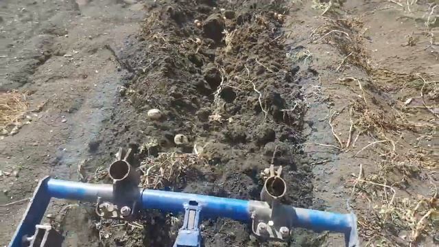 Минитрактор 4х4. Копаю картошку. смотреть онлайн