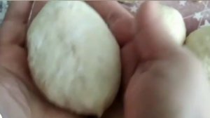 Тесто для Пирожков
