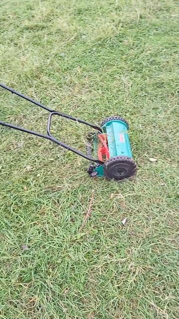 Газонокосилка Bosch для выравнивания газона смотреть онлайн