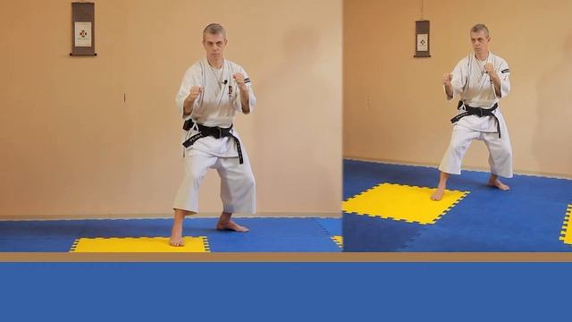 #03 ПРАКТИКА СТОЙКИ. СЁРИНДЗИ КЭМПО (НАЧАЛЬНЫЙ УРОВЕНЬ). смотреть онлайн