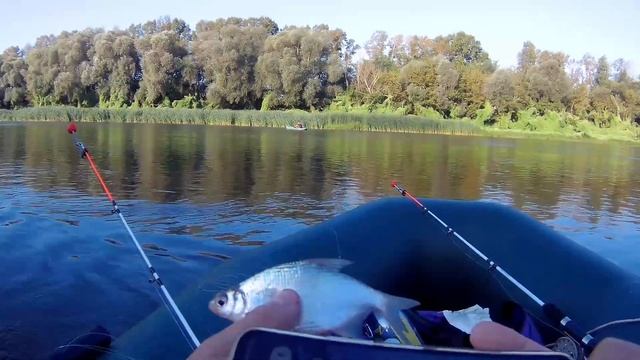 снасть кольцо | река Дон | Курский мост | Воронеж | 19 августа 2023 смотреть онлайн