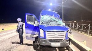 РЕН ТВ публикует список пострадавших в смертельном ДТП в Калмыкии