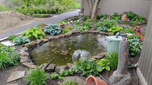 Погода удивляет...Что купила...Высадила остатки...