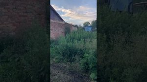 Самодельная косилка для трактора т-25