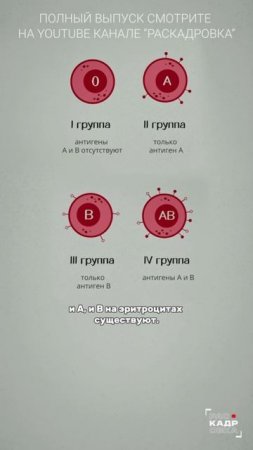 Чем отличаются группы крови?

Полный выпуск смотрите на канале "Раскадровка"