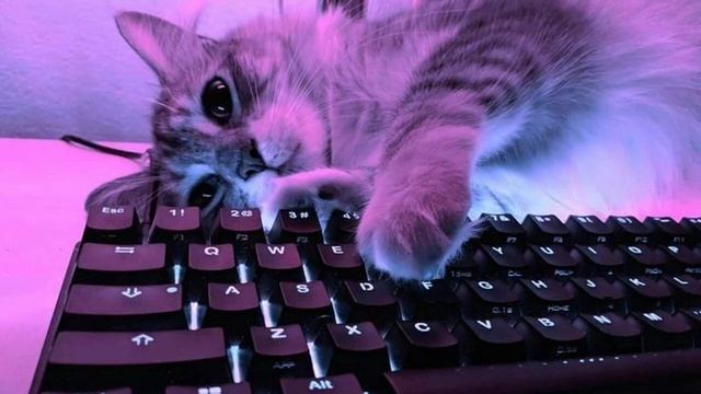 🖤Right Person - Кофта пахнет твоим домом (1 час) 🖤 смотреть онлайн