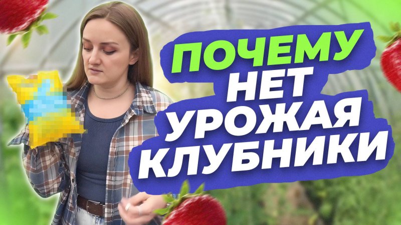 ПОЧЕМУ КЛУБНИКА НЕ ПЛОДОНОСИТ? С ВИШНИ ОСЫПАЮТСЯ ЗАВЯЗИ