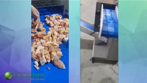 Машина Vega HDFS 60 деликатная нарезка мяса, рыбы на стрипсы