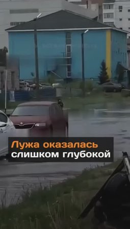 Когда лужа оказалась слишком глубокой