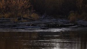 Большое рыболовное путешествие. Часть 2-Тугур. Начало