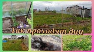 ЖИЗНЬ В ДЕРЕВНЕ.ПОГОВОРИМ О ГЕРБИЦИДАХ