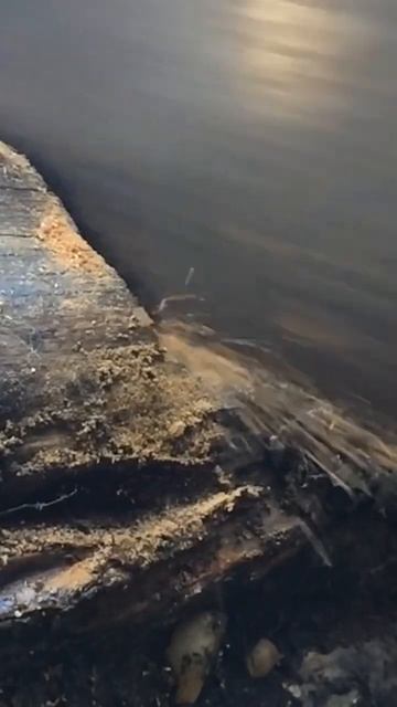 Пила Дружба ручная. смотреть онлайн