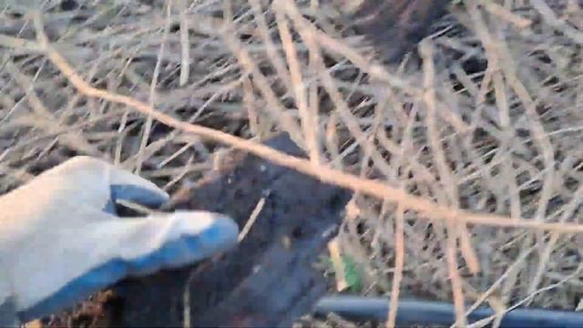 Копаю железо у старых ферм с ТХ-850. (Часть 2) смотреть онлайн