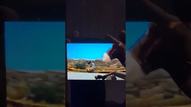 Мультик ТОЧКИ ОПОРЫ «ИШАЧОК И БЕЛОК» смотреть онлайн