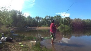 Лещ на фидер "Падовка Самара".