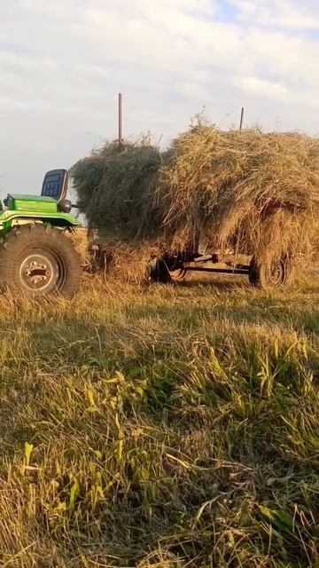 файтер т15 китайский минитрактор смотреть онлайн