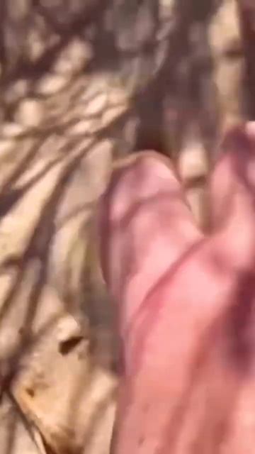 Детский металлодетектор Dr.ÖTEK.Тест пройден.Пляжный ко? смотреть онлайн