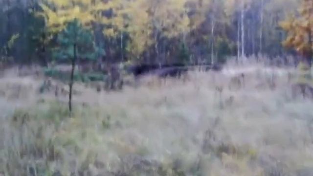 Малорита 44 ракетный полк 21.10.2012 смотреть онлайн