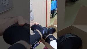Модель Нуоска куома