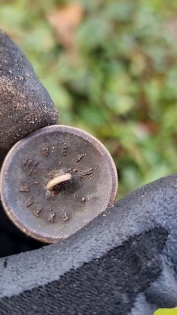 Коп в лесу с металлоискателем. #metaldetecting #поисксметалло смотреть онлайн