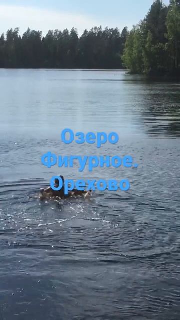 Орехово Ленобласть. Озеро Фигурное смотреть онлайн