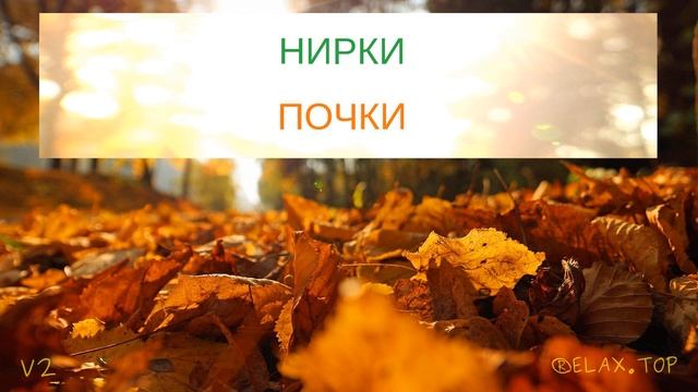 Украинско-русский тренажёр. Пятая сотня самых важных ?