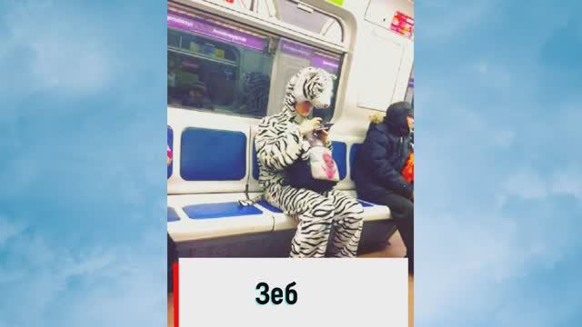 Необычные пассажиры в метро