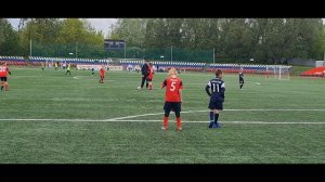 Львы-Тигры